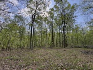 Property photo for land for sale in  County Tennessee