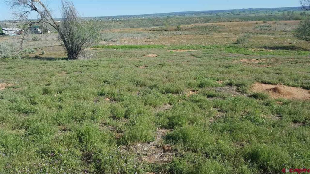 Property photo for land for sale in Montezuma County Colorado