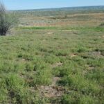 Property photo for land for sale in Montezuma County Colorado