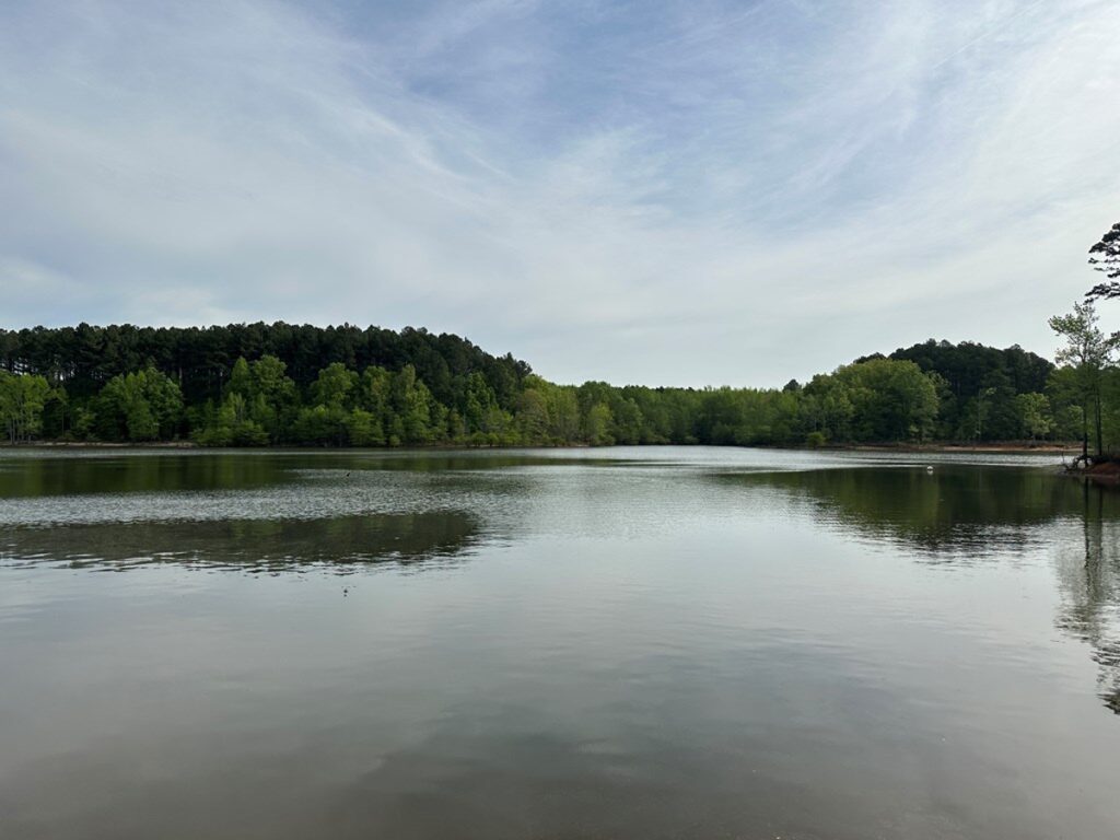 Property photo for land for sale in Mecklenburg County Virginia