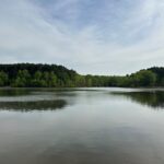 Property photo for land for sale in Mecklenburg County Virginia