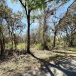 Property photo for land for sale in Levy County Florida