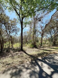 Property photo for land for sale in Levy County Florida