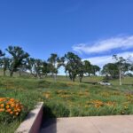 Property photo for land for sale in Solano County California