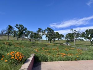 Property photo for land for sale in Solano County California