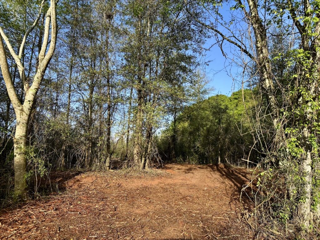 Property photo for land for sale in Geneva County Alabama