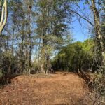 Property photo for land for sale in Geneva County Alabama