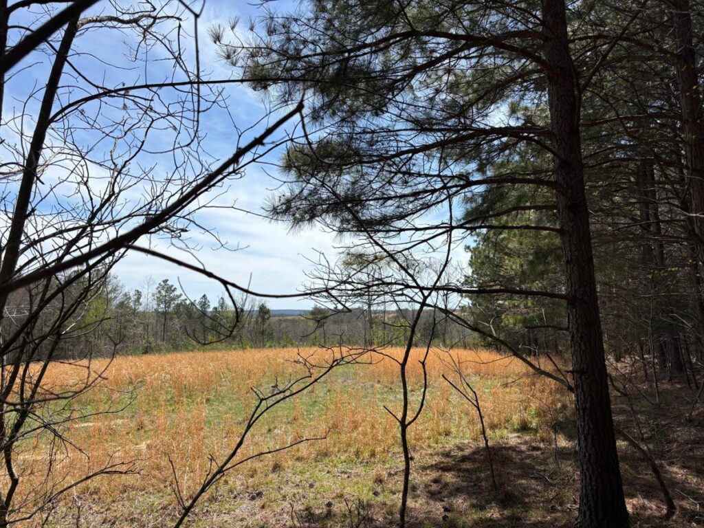 Property photo for land for sale in Sequatchie County Tennessee