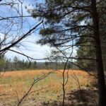 Property photo for land for sale in Sequatchie County Tennessee