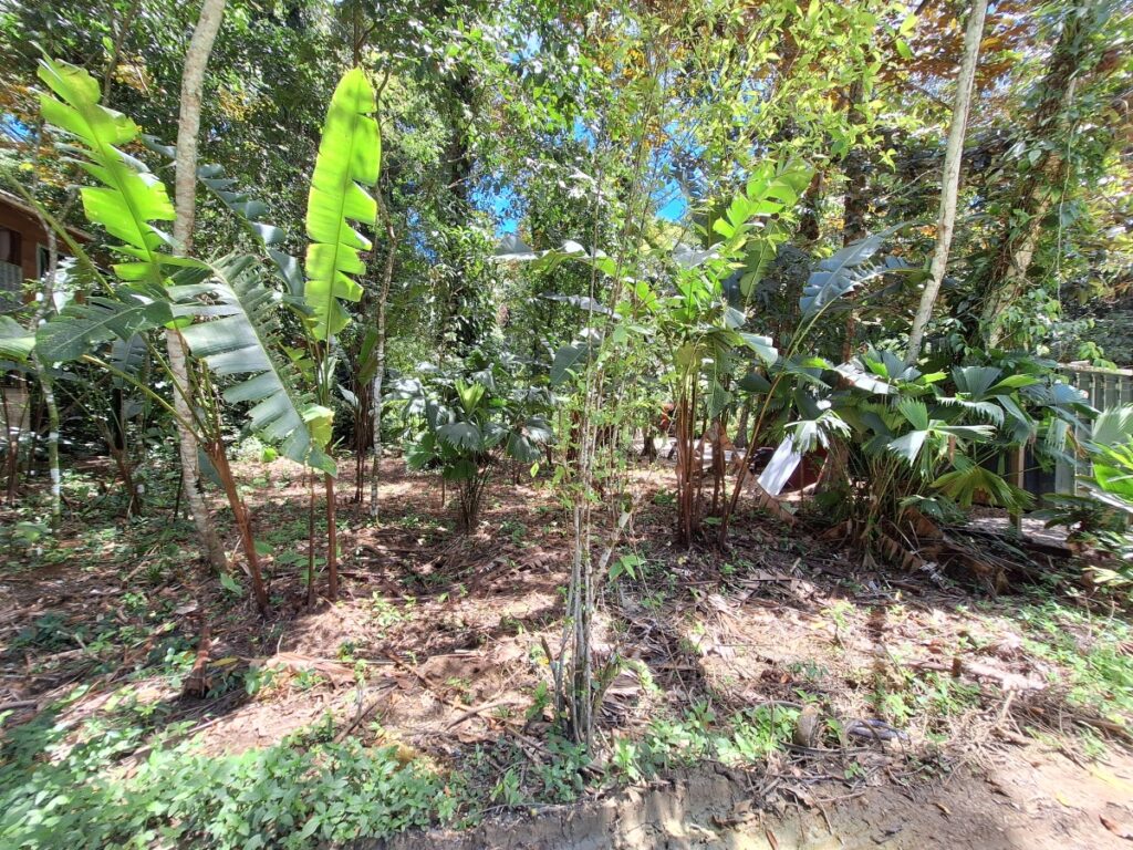 Property photo for land for sale in  County Panama