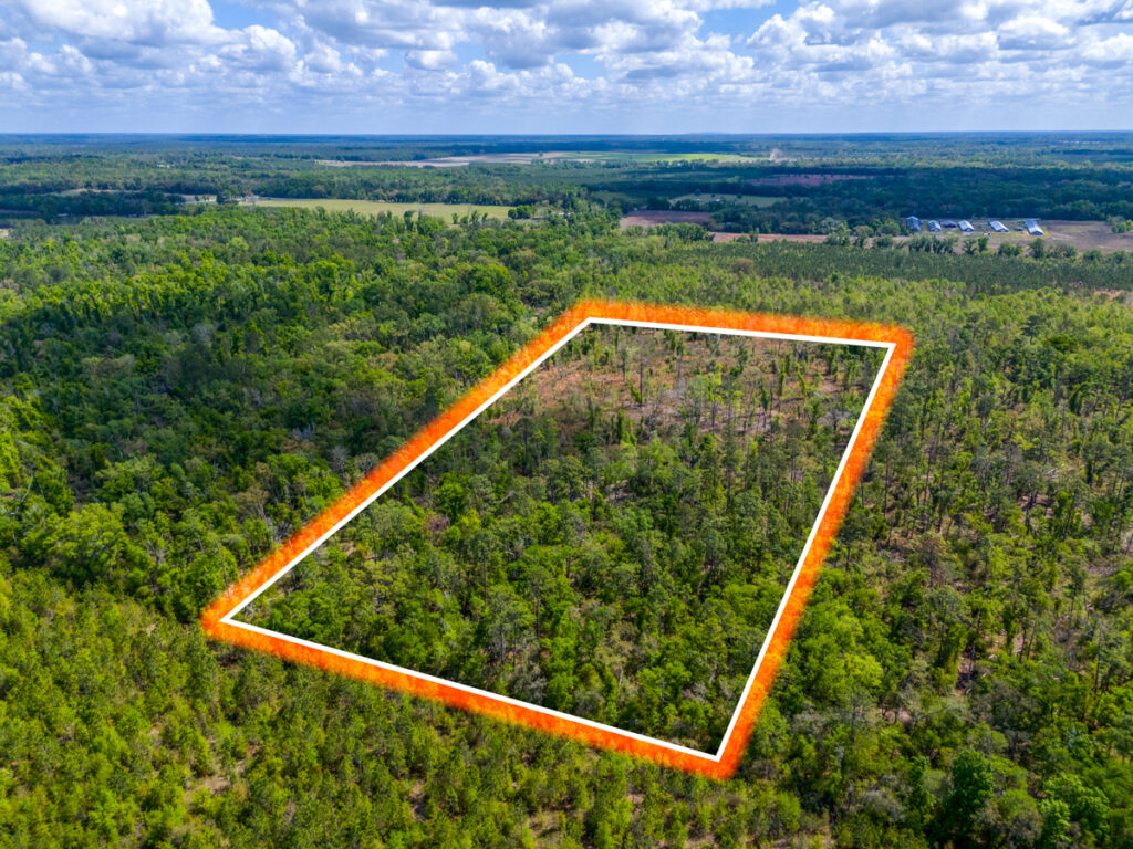 Property photo for land for sale in Suwannee County Florida