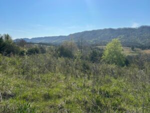 Property photo for land for sale in Hancock County Tennessee