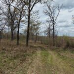 Property photo for land for sale in St. Clair County Missouri