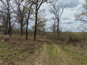 Property photo for land for sale in St. Clair County Missouri
