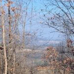 Property photo for land for sale in Marion County Arkansas