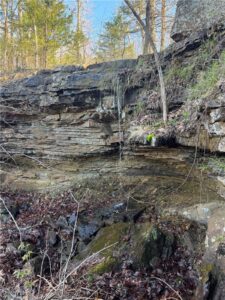 Property photo for land for sale in Newton County Arkansas