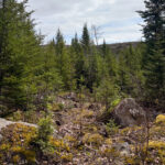 Property photo for land for sale in Aroostook County Maine