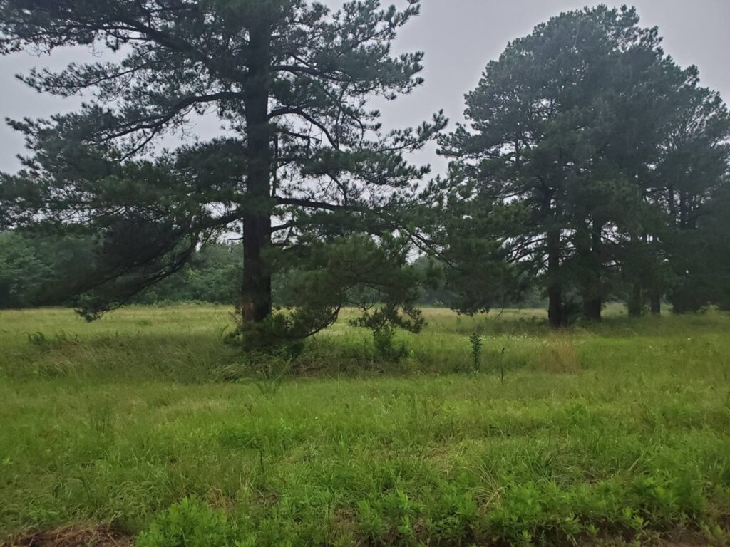 Property photo for land for sale in Choctaw County Oklahoma
