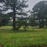 Property photo for land for sale in Choctaw County Oklahoma