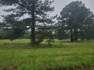Property photo for land for sale in Choctaw County Oklahoma