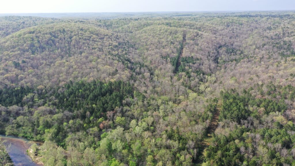 Property photo for land for sale in Dent County Missouri