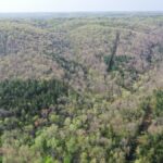 Property photo for land for sale in Dent County Missouri