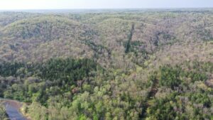 Property photo for land for sale in Dent County Missouri