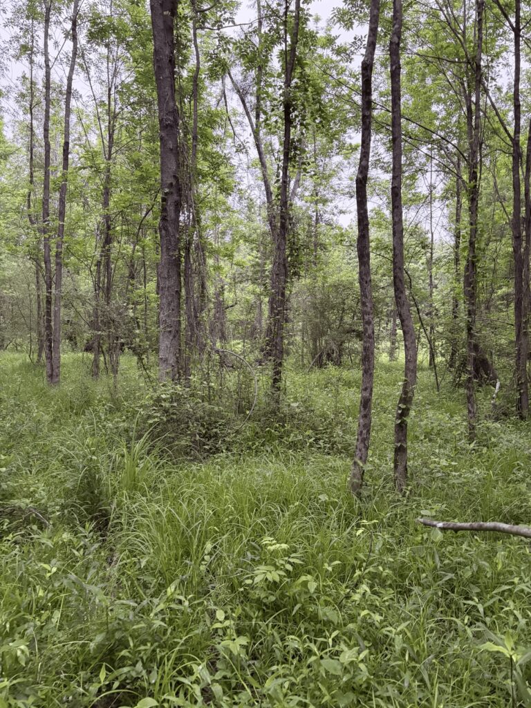 01d9e980-22b2-4b9f-9e96-f9de846c01b7.jpg