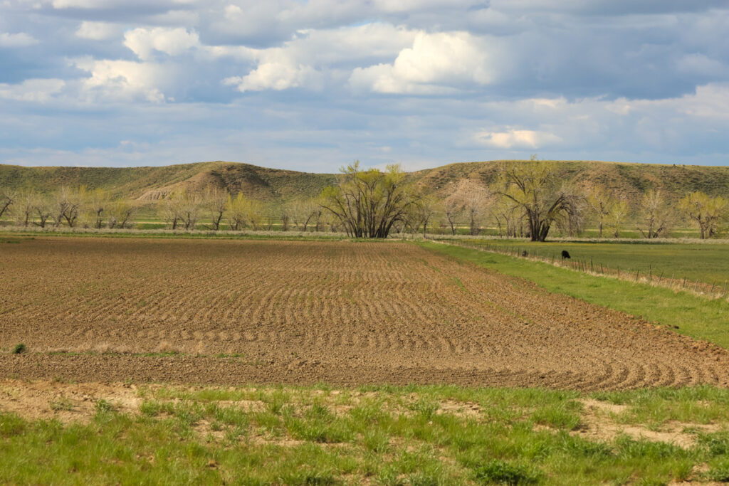 020f8e75-94ed-49fd-b25e-794e03829deb.jpg