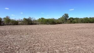 Property photo for land for sale in Nodaway County Missouri