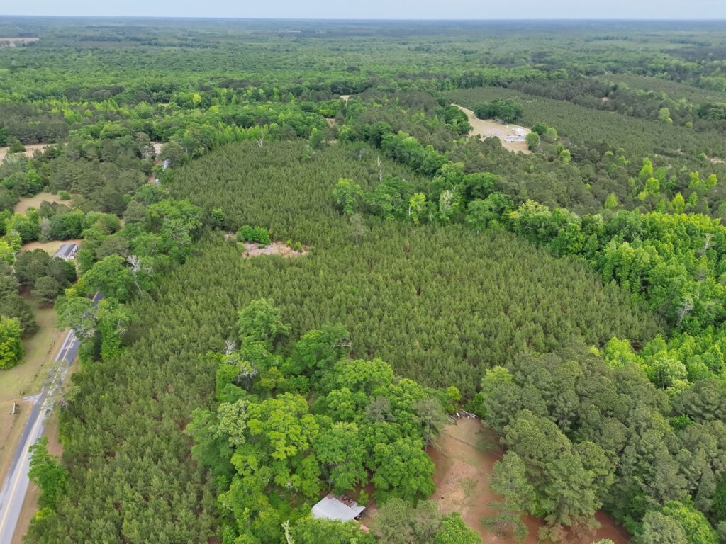 Property photo for land for sale in Allendale County South Carolina