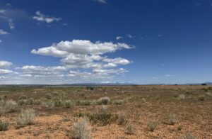 Property photo for land for sale in Montezuma County Colorado