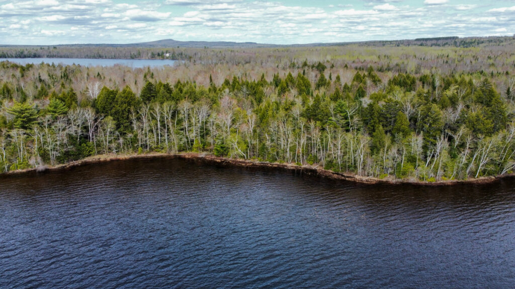 Property photo for land for sale in Washington County Maine