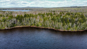 Property photo for land for sale in Washington County Maine