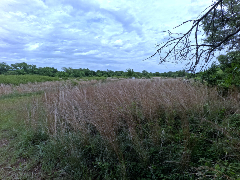 05a2227e-8d08-4086-a00e-ebaa0cf8ef46.jpg