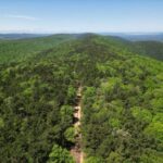 Property photo for land for sale in Pushmataha County Oklahoma