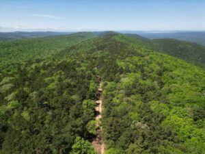 Property photo for land for sale in Pushmataha County Oklahoma