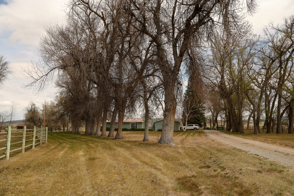 07868d3d-9292-4e1f-bd15-97ea1d84a3c4.jpg