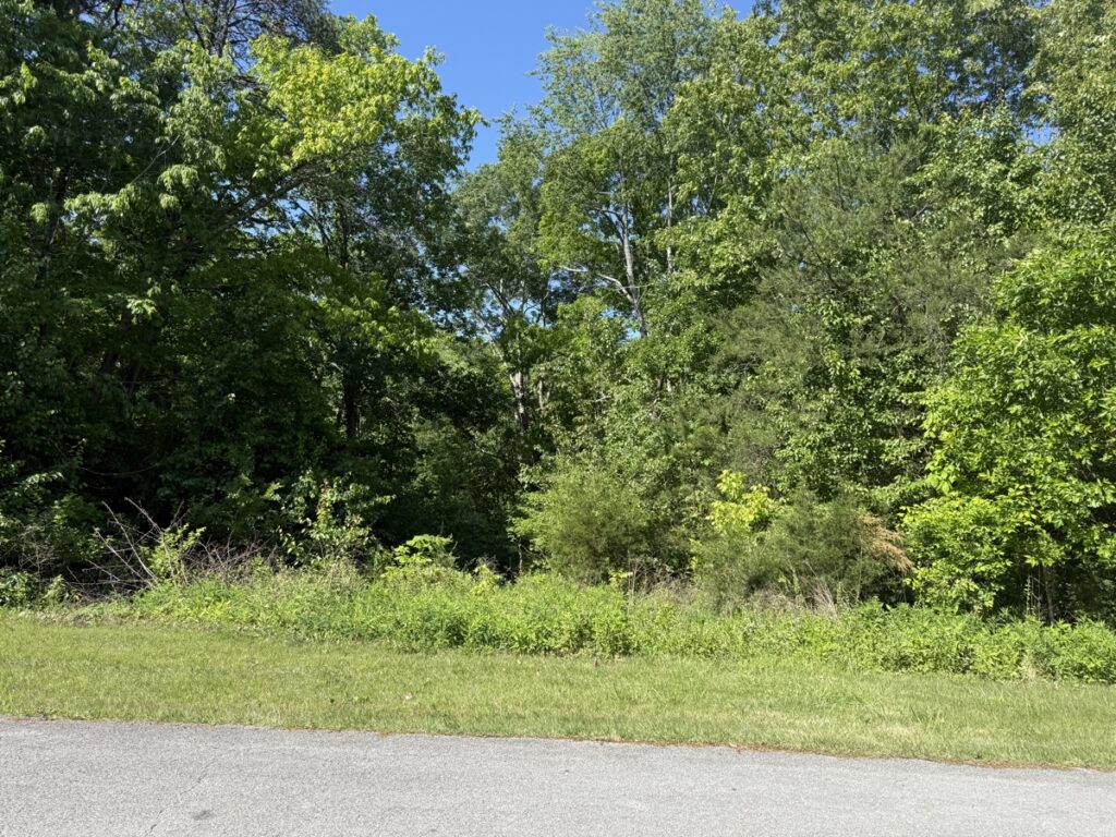 Property photo for land for sale in Casey County Kentucky