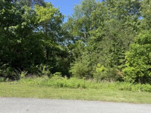 Property photo for land for sale in Casey County Kentucky