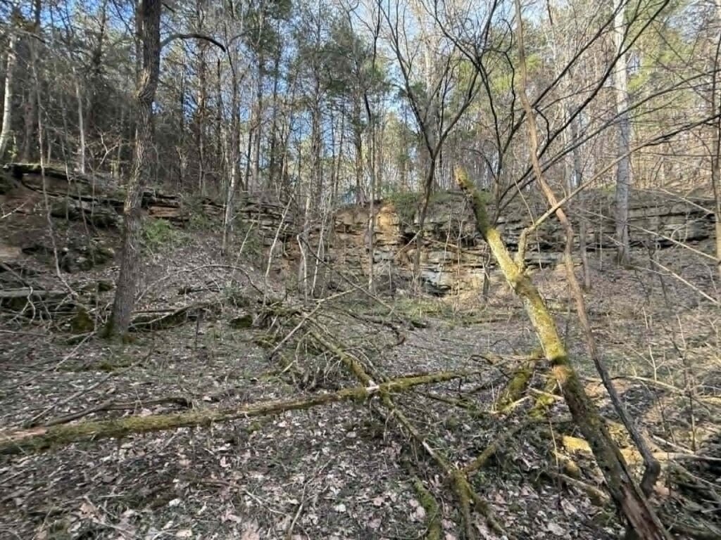 Property photo for land for sale in Clinton County Kentucky