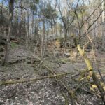 Property photo for land for sale in Clinton County Kentucky