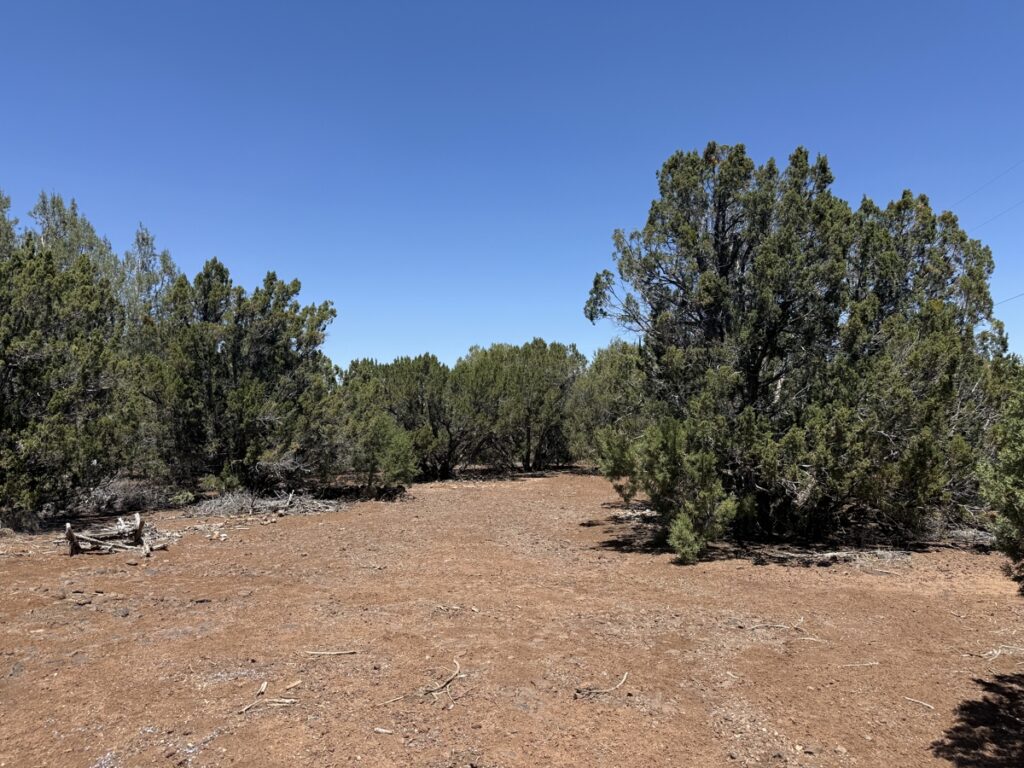 Property photo for land for sale in Navajo County Arizona