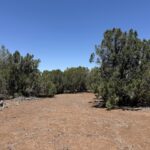 Property photo for land for sale in Navajo County Arizona