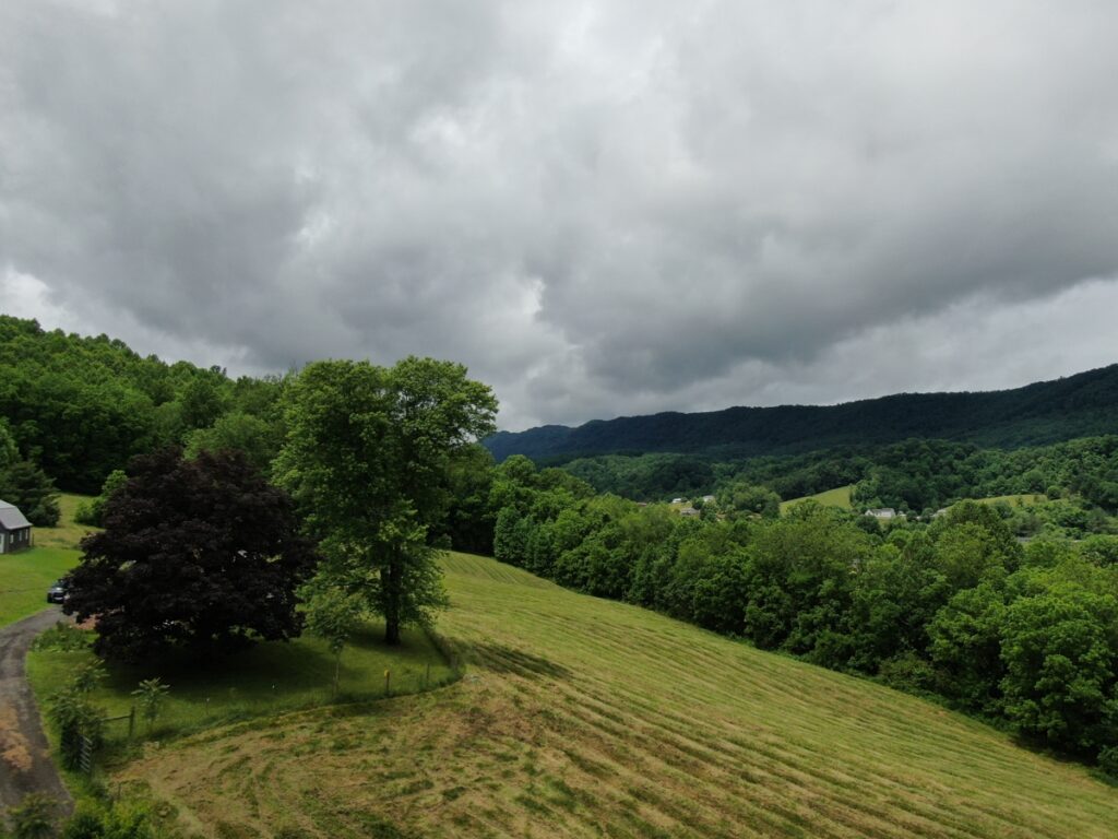0a60ddf7-b55d-4d59-8a0b-99ca42485999.jpg