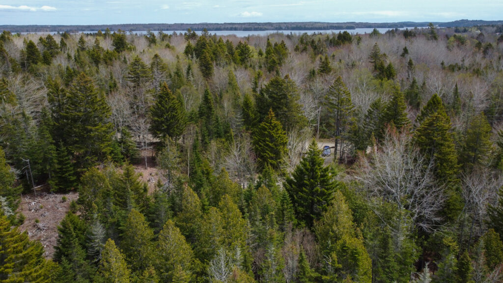 Property photo for land for sale in Washington County Maine