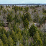 Property photo for land for sale in Washington County Maine