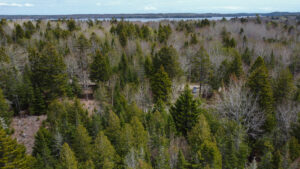 Property photo for land for sale in Washington County Maine