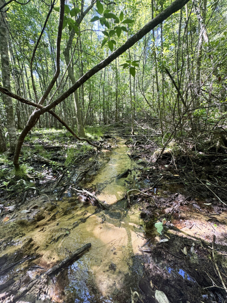 0ca35c5f-7c43-4586-88c5-b49d70b84d92.jpg