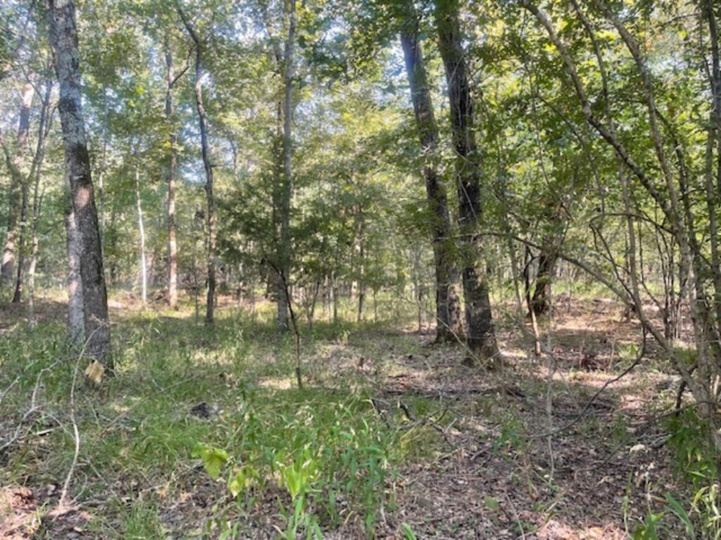 Property photo for land for sale in Lamar County Texas